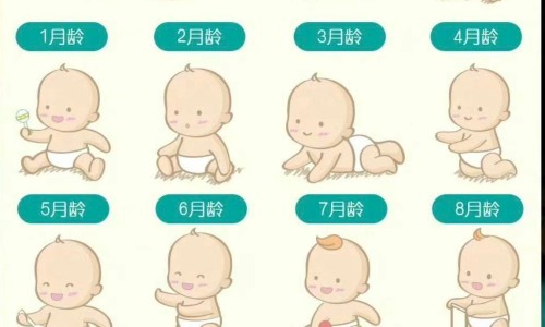 天津格林国际幼儿园学费-清明期间是指网 - 为你提供建水共享电单车、天津格林国际幼儿园学费